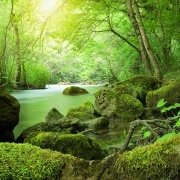 Природа