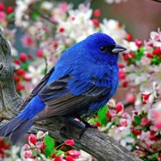 Природа
