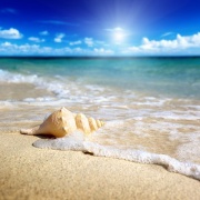 песок ракушка